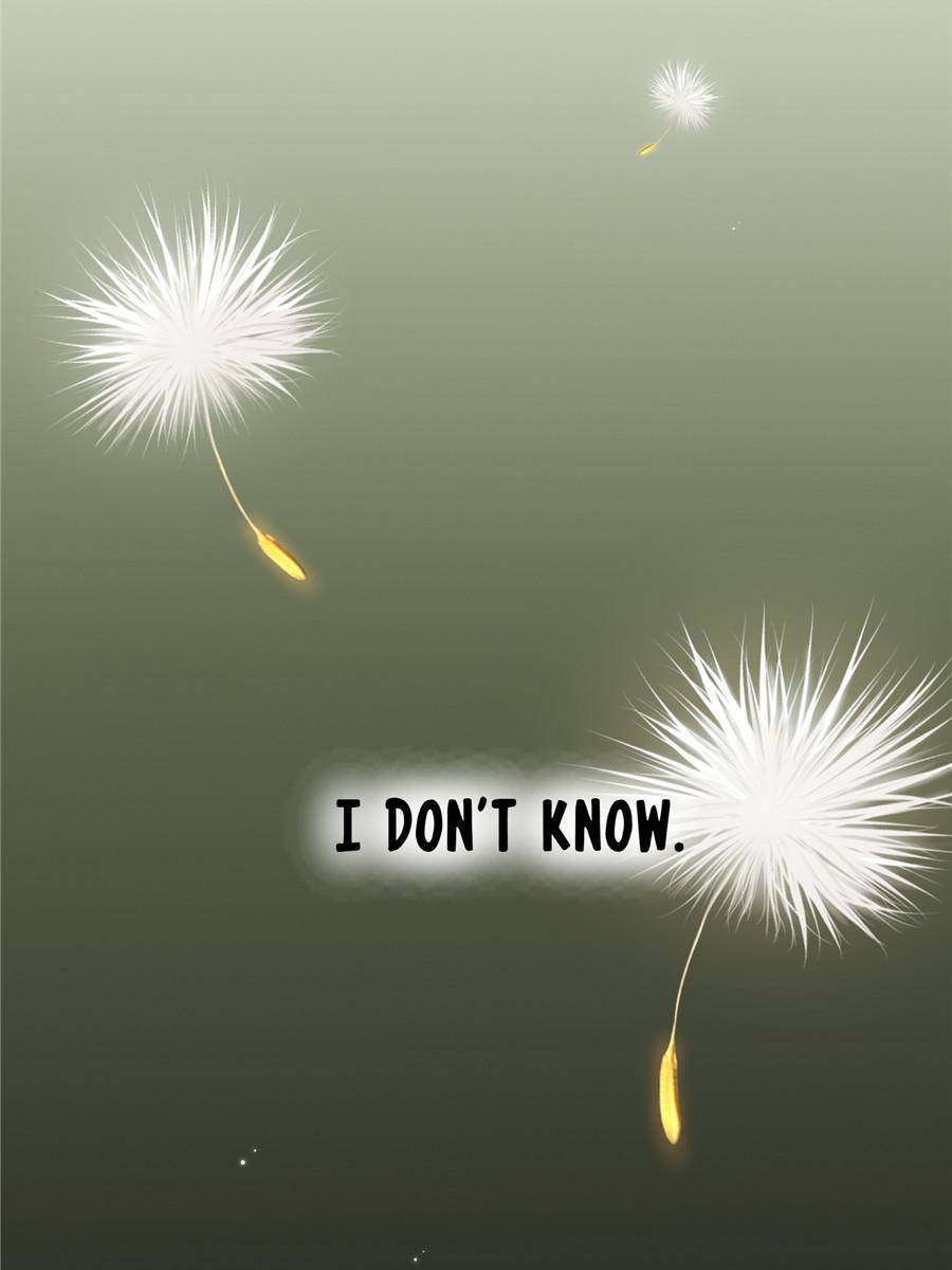 75773922 900 1200 47882